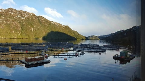 Nova Austral salmon farm in southern Chile.
