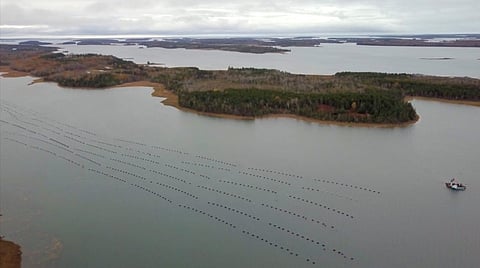 Nova Scotia presents the first Aquaculture Development Area