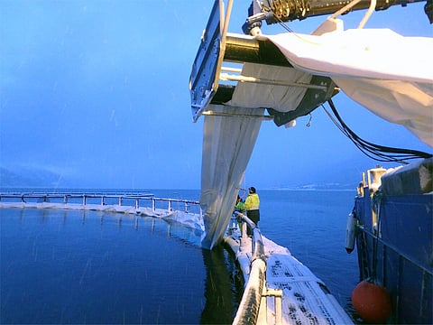 Bio Marine 'Titan lice skirts' provide good protection against lice and larvae.