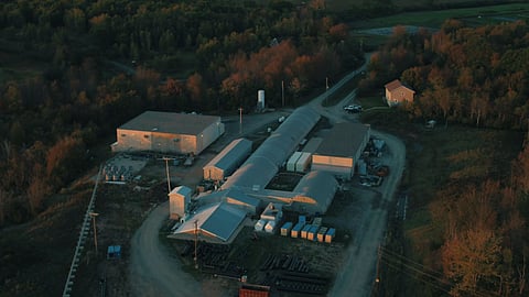 Canadian land-based salmon producer Sustainable Blue enters receivership