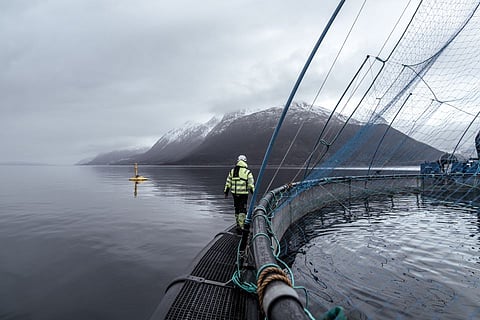 Måsøval farming operation at sea.