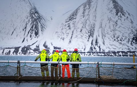 Arctic Fish Q1 2024: satisfaction despite lower volumes and revenues