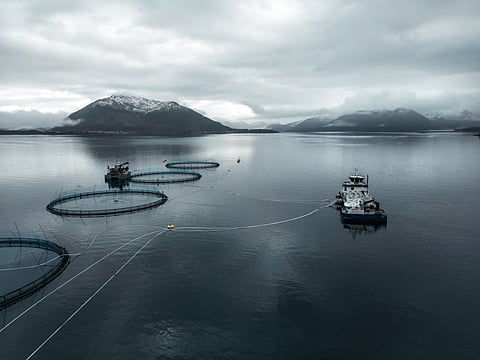 Måsøval acquires Njord Aquashipping wellboat solution