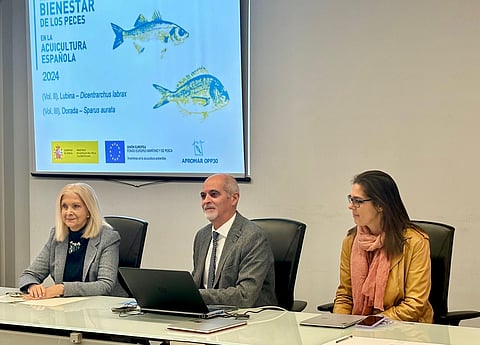 Spain highlights fish welfare as a crucial element for sustainability with new aquaculture guidelines