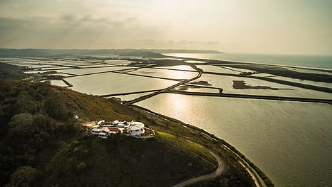 Road next to a shrimp farming area in Jama, Manabi province, Ecuador.