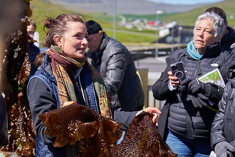 This year's Seagriculture EU conference included a site visit to Ocean Rainforest's facilities in the Faroe Islands.