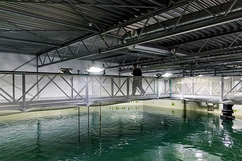 Nofitech's post-smolt RAS technology.