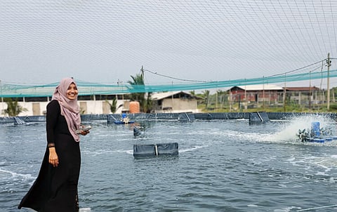 Nasha Baanu, production executive at Taprobane.