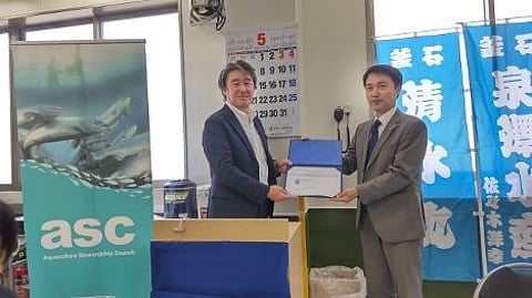 In November 2020, Izumisawa and Iwate University began cherry salmon farming trials.
