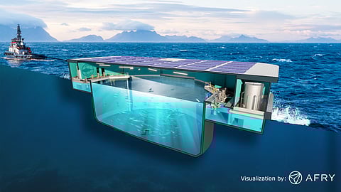 Cross-section of Next Tuna's floating RAS design.