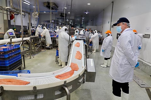 Workers at Blumar Magallanes salmon processing plant.