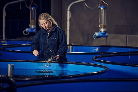 Huon is one of the largest employers of full-time staff in the Huon Valley region in southern Tasmania.