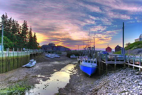 Low tide at the harbour.