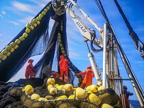 Peruvian fishermen working on a fishing vessel.