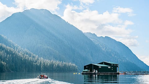 Boat approaching a Cermaq salmon farm in British Columbia, Canada.