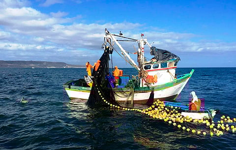 Peruvian artisanal fishermen at work.