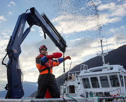 "The report emphasizes how important the supplier industries have become for value creation in the Norwegian seafood industry. The suppliers create jobs and value along the entire coast, and contribute with crucial innovation that strengthens the industry's competitiveness," said lead researcher Audun Iversen.