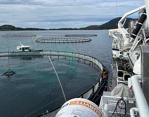 Hygiene control of vessels in aquaculture are important measures to prevent the spread of infection between cages and breeding facilities.