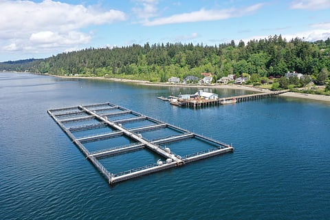 A commercial net pen in Puget Sound, Washington State.