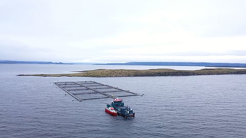 Cermaq Chile's farm.