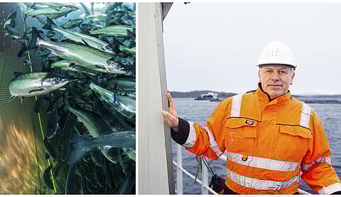 Oceanographer Bjørn Einar Grøsvik calls for more knowledge about the impregnating agent.