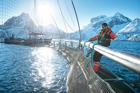 "Aquaculture 2024 is three days packed with exciting presentations and the latest results from all fields of Norwegian aquaculture research," says co-organizer Anders Karlsson-Drangsholt, senior advisor at the Research Council of Norway.