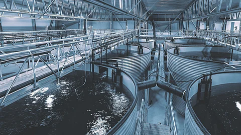 AKVA Group fish tanks.
