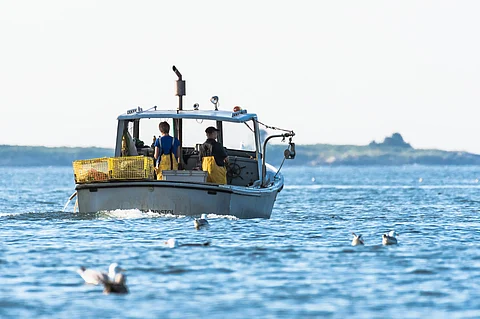 Lobster fishermen at work in South Bristol, Maine, United States.