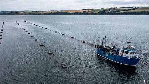 Scottish shellfish conference brings industry leaders to Oban