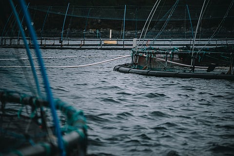 One of Måsøval's facilities in Norway.