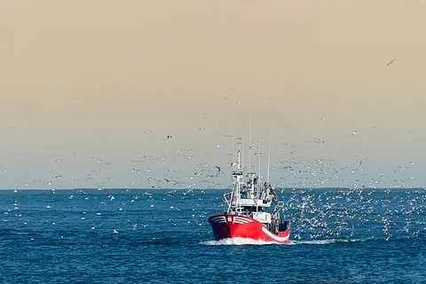 Fishing boat returning to the harbour.