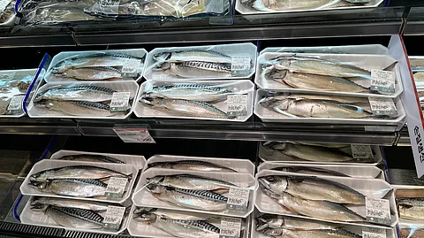 Norway exported mackerel worth NOK 2.5 billion in October. This is an increase of NOK 750 million compared with the same month last year, which was also the previous export record for mackerel.