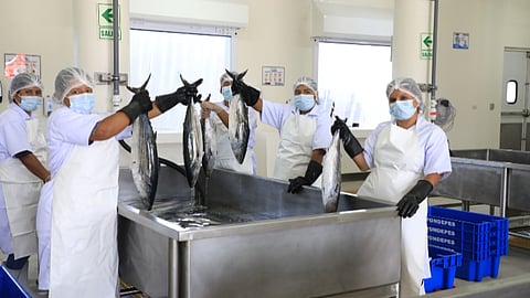 The projects will improve the working conditions and safety of artisanal fishermen.