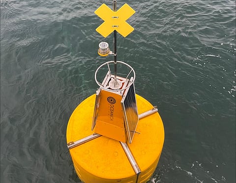 Innovex provides environmental monitoring services to aquaculture companies, as well as environmental companies and public institutions.