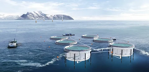 Aquafarm Equipment AS designs floating closed fish cage systems.
