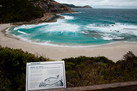 Species monitoring, compliance, and community engagement are among the planned measures.