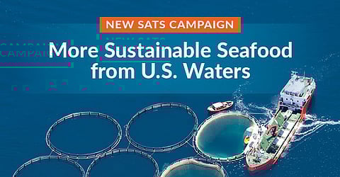 Stronger America Through Seafood brings a diverse board of directors from various backgrounds.