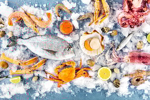 New report reveals the most consumed seafood species in the United States