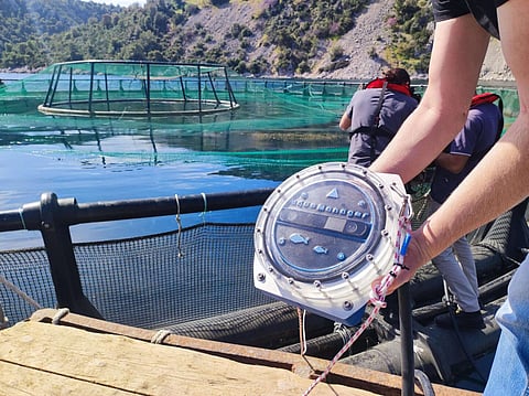 "This is one of the most exciting growth plans we have been working on since the fund inception," said Piers Lakin of Ocean 14 Capital.