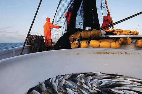 NOAA Fisheries unveils action plan for seafood import monitoring