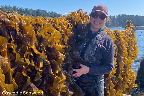 Cascadia Seaweed has raised CAD $4 million toward its CAD $7 million target.