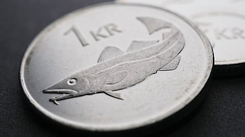 Icelandic one krone coin close-up. National currency of Iceland.