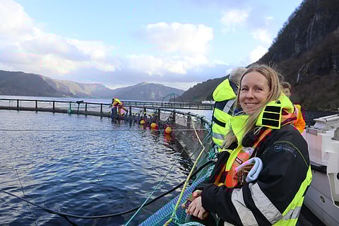 Tidal became an independent company in July, after spinning out from host organization X, the Moonshot Factory.