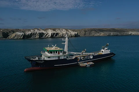 Copeinca was established in 1994. It has 2,770 employees, 45 vessels, and 8 processing plants.