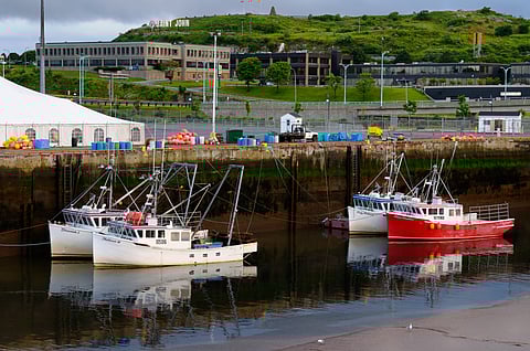 Fishing boats at dawn and low tide in Saint John Harbour New Brunswick.