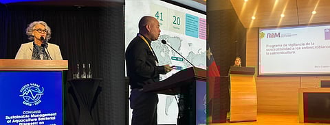 The webinar was called 'Update on the Management of Antimicrobial Use in Salmon Farming with a One Health Approach'.