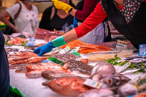 Fish market in Barcelona, Spain.