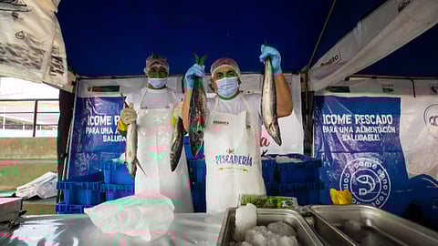 The Ministry of Production has organized over 9,300 fairs promoting hydrobiological products.
