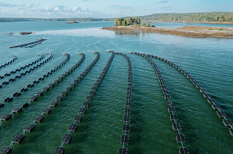 Shellfish farm on Orr's Island, Harpswell, Maine, United States.