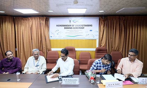 Rice distillers' dried grains with solubles (DDGS) are used in poultry and cattle feed.